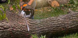 Best Lawn Watering Services  in Sultan, WA